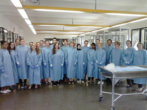 Anatomie