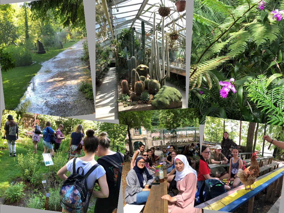 Bilder vom Schulausflug in den Botanischen Garten