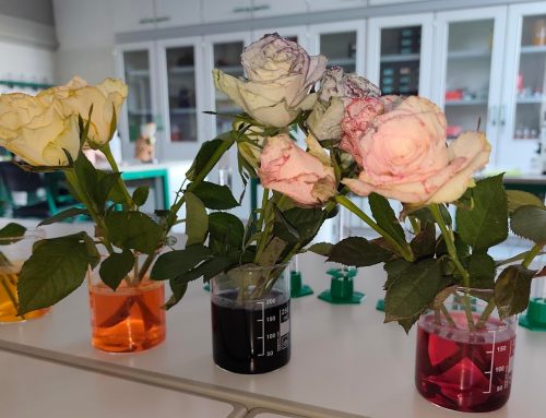 Tag der offenen Tür 2026