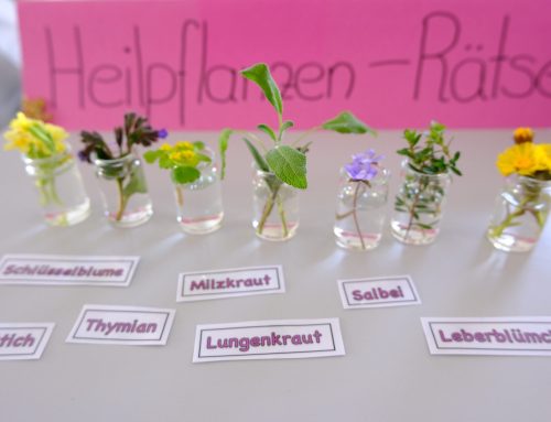 Tag der offenen Türe 2026